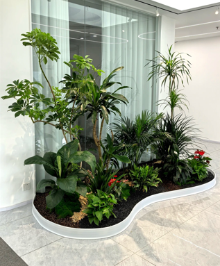 镇海绿植租摆选择基础知识大全，快速掌握